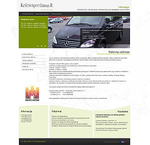 Panevėžys Interneto svetainės kūrimas www.travelbus.lt 